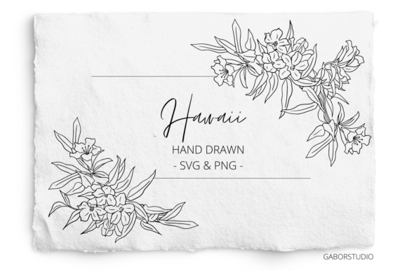 Hibiscus Floral Corner Frame Design Files: SVG and PNG Explained