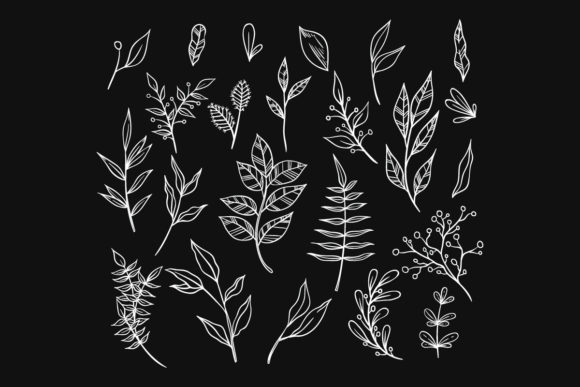 The Beauty and Utility of Hand Drawn Vector Branch Illustrations