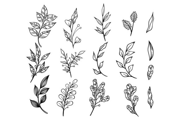 The Organic Edge: How Hand Drawn Floral Branches Elevates Modern Design