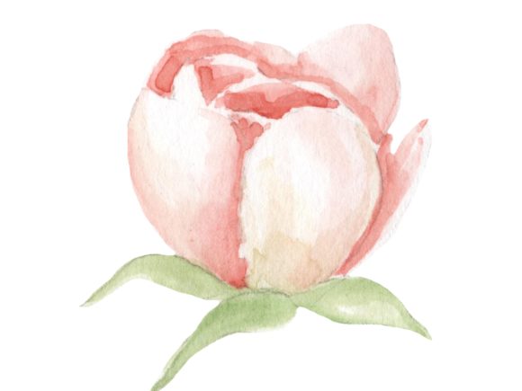 Vintage Floral Watercolor Art