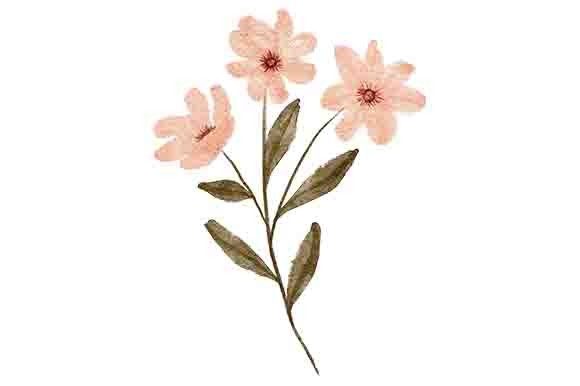 Watercolor Petal Floral Leaf Painting: A Designer’s Guide to What’s Included and Why It Matters