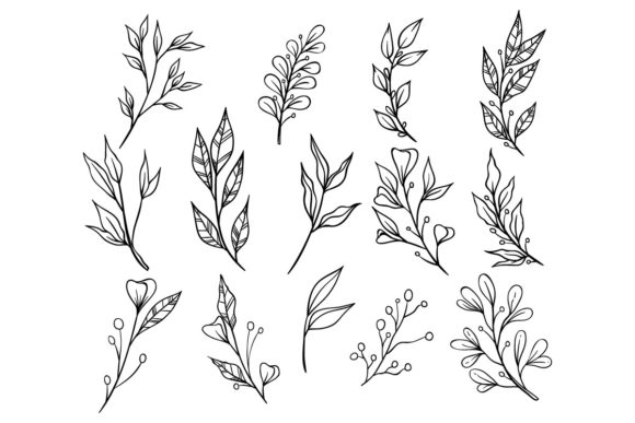 Working with Sketch of Floral Branches Illustration